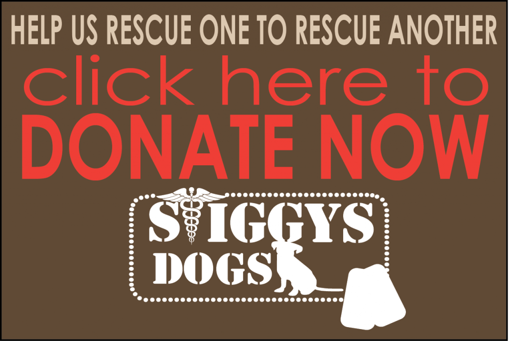 click here to donate