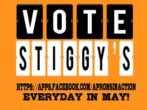 vote stiggys